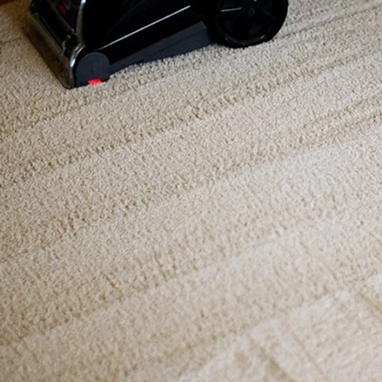 Carpet cleaning machine leaving clean lines across a cream carpet