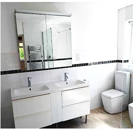 Bathroom with a double basin, mirror and toilet after cleaning